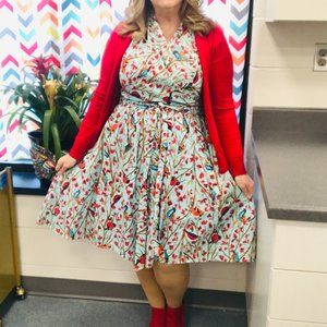 Retrolicious Vintage Birds Dress 1X